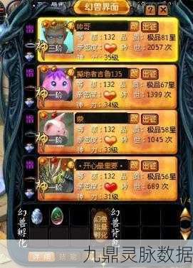 魔域法师宠物搭配全攻略，打造最强战斗组合