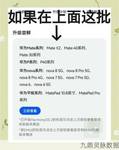 鸿蒙系统畅玩无限暖暖,全面体验指南