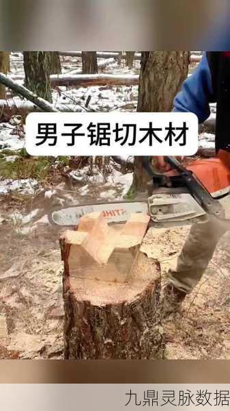 锯木头挑战,解锁休闲新乐趣,挑战你的指尖技巧