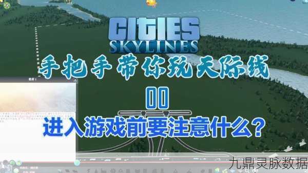 城市天际线卡顿不再愁,流畅游戏新技巧大揭秘