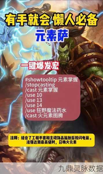 WLK萨满职业,深度剖析与实战指南