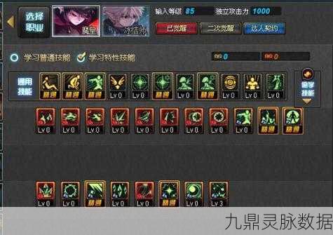 DNF男法元素爆破觉醒技能加点全攻略
