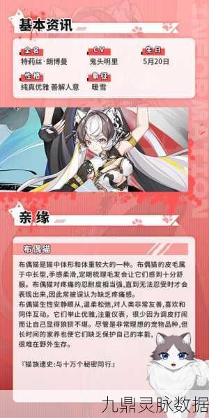 猫之城新手池角色配队全攻略,解锁战斗艺术的钥匙