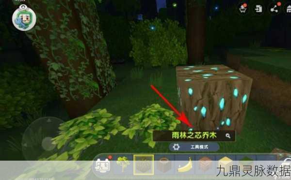 迷你世界，揭秘雨林之眼激活神像的神秘之旅