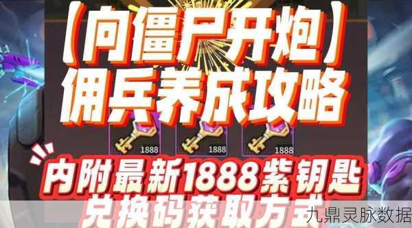 DNF冒险团佣兵爆棚,高效管理策略揭秘