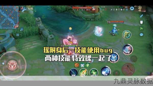 王者荣耀瑶与盾山组合无敌bug，深度解析与实战探讨