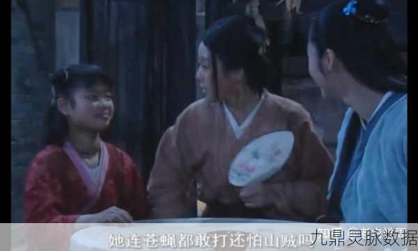 武林外传任务揭秘,追寻杨惠兰的下落