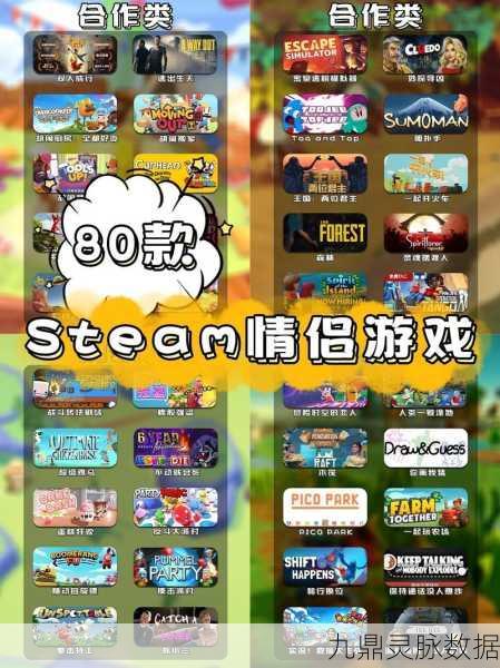 Steam联机盛宴,探索那些不可错过的联机佳作
