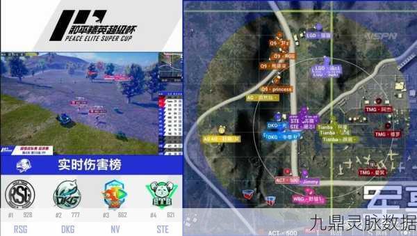和平精英超级杯竞猜全攻略，策略、技巧与心得大揭秘