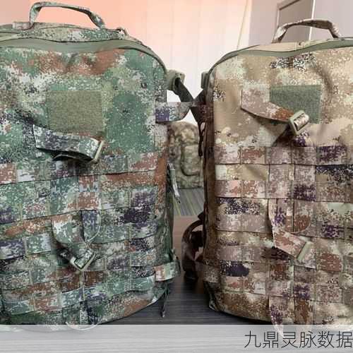 绝地求生,战术背包深度使用指南,助你战场称雄