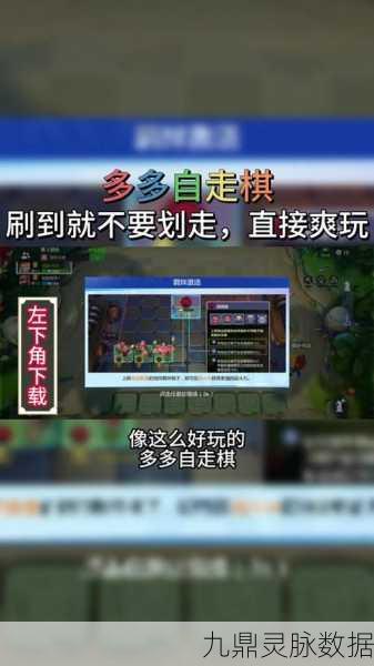 多多自走棋深度探索，高手之路的全面指南