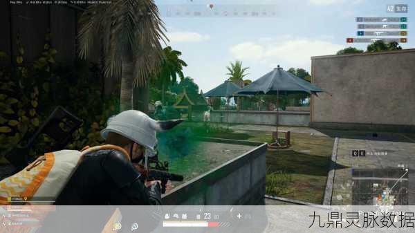 绝地求生大逃杀，提升视野清晰度，精准锁定敌人技巧揭秘