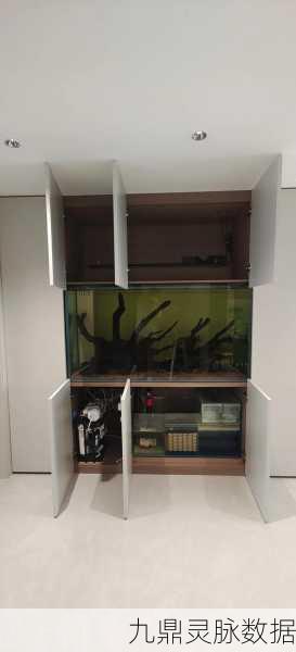 养鱼专业户,沉浸式养鱼体验,打造你的梦幻水族馆