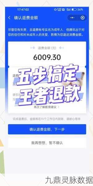 王者荣耀退款全攻略，揭秘如何轻松退全款