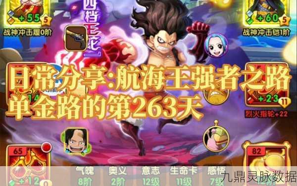 航海王强者之路V5，深度攻略与技巧盛宴