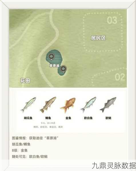 心动小镇，海鱼获取全攻略，解锁海洋的秘密宝藏