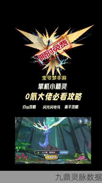口袋妖怪复刻，闪电鸟属性解析与搭配攻略