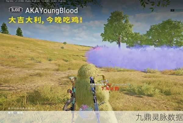 绝地求生遭遇门,解锁游戏进不去的终极谜团