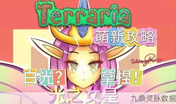 泰拉瑞亚光之女皇，脱战之谜全面解析