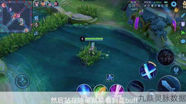 王者荣耀蓝buff归属大揭秘,如何合理分配战场资源?