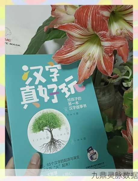汉字对决，解锁文字魅力的挑战之旅