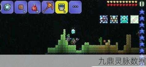 泰拉瑞亚奇遇记，解锁火红花与粉蝶花的浪漫邂逅