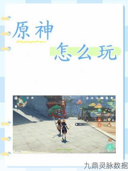 原神秘宝迷踪,深入藏宝地8的奇幻探险日志