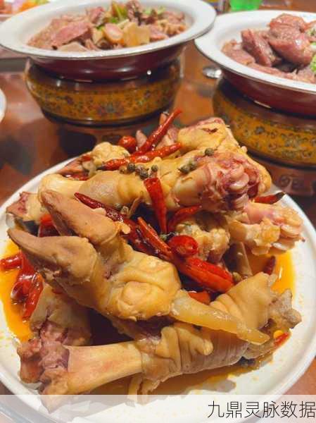 探寻燕云十六声中的美食大师，潘明荣厨师的藏身之处