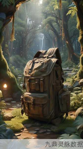 森林之子,善恶难辨的冒险之旅,你准备好了吗?