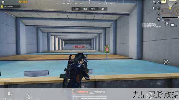 和平精英特训岛,揭秘小鸡隐藏技巧,打造个性游戏空间