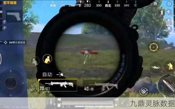 和平精英特训岛,揭秘小鸡隐藏技巧,打造个性游戏空间