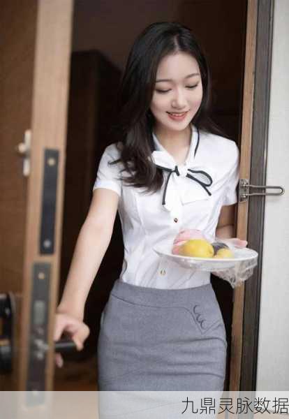 探秘极品女秘书,一场别开生面的模拟养成之旅