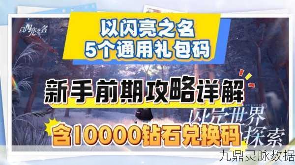以闪亮之名,深度攻略解锁,优雅离会,交易秘籍大公开