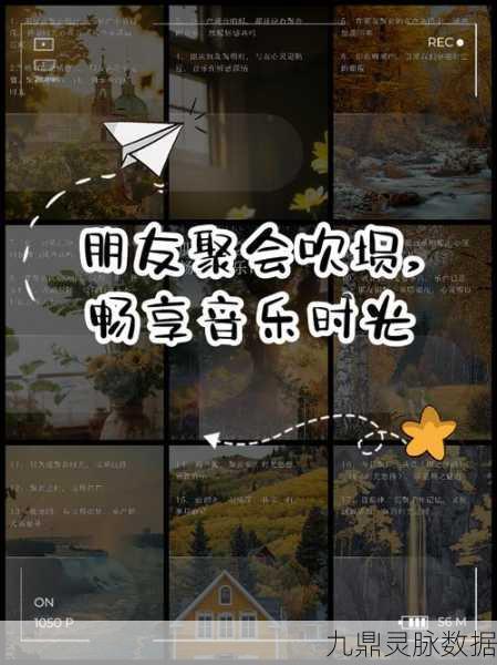 节奏垫脚石，跃动指尖的活力乐章，畅享休闲新体验