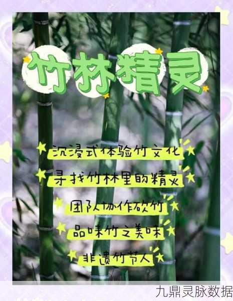 小森生活，解锁竹子的秘密乐园，全面获取攻略