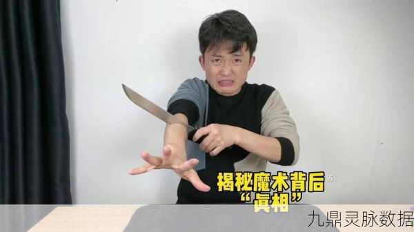 哈利波特芙蓉挑战威尔士绿龙,揭秘三强争霸赛的惊险瞬间