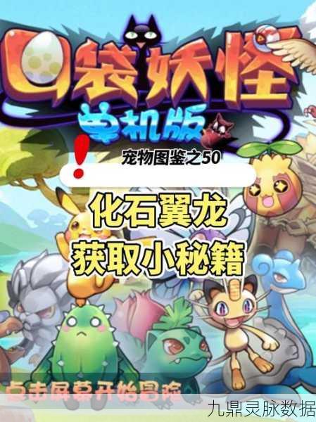 口袋妖怪守护者,浏览器上的奇幻冒险之旅