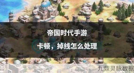 帝国时代2联机卡顿之谜，玩家如何破局？
