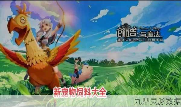 创造与魔法红莲花,解锁高级料理与宠物的秘密钥匙