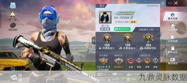 和平精英账号探秘，青铜到王者的秘密通道？