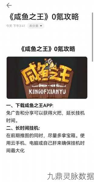 咸鱼之王6355关卡深度剖析,从新手村到高手营的实战秘籍
