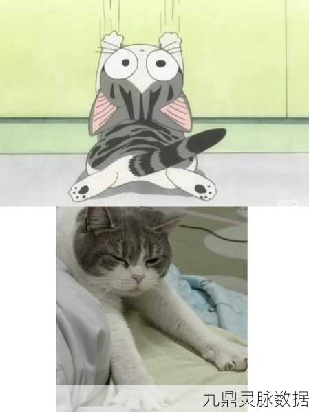 猫宅97,萌宠云集的治愈系猫咪养成之旅