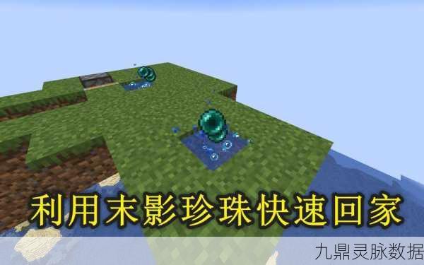 探秘我的世界，解锁高效获取末影珍珠的终极秘籍