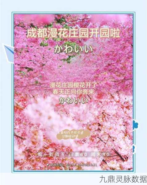 摩尔庄园,满天星花寻觅之旅与赏花全攻略