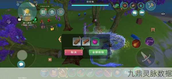 探寻创造与魔法秘法灵龙的神秘栖息地