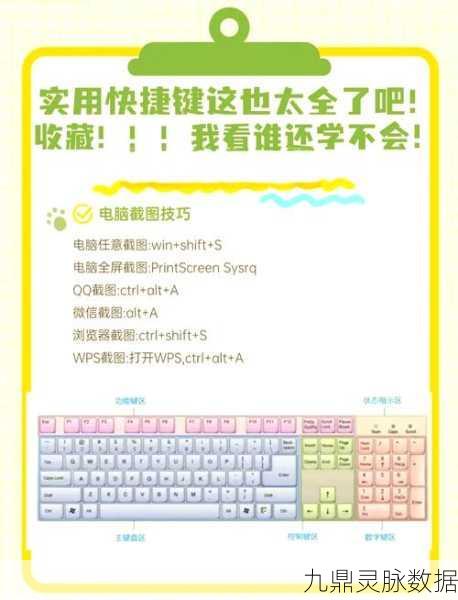 海之号角PC版深度探索，键盘操作秘籍与个性化设置