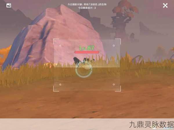 原神福至五彩，深棕色照片拍摄全攻略