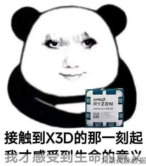 地下城与勇士攻击属性灰色之谜，资深玩家全面解析