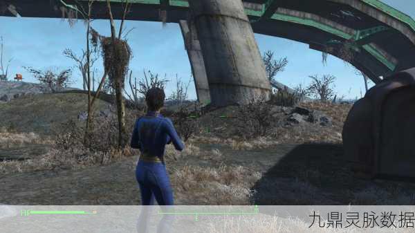 辐射4简体中文版设置全攻略