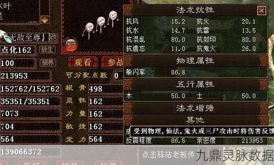 大话西游2深度探索,解锁坐骑加速度的极致奥秘